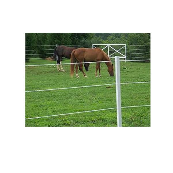 156cm Tall Electric Fence 4ft 6" Fencing Stake Horse 20 X WHITE 5FT POLY POSTS 