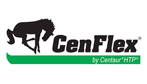 CenFlex logo heading